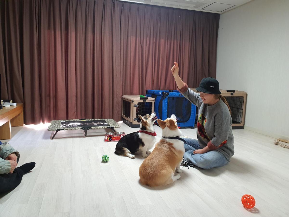 Hi Jeju Hotel Eksteriør billede